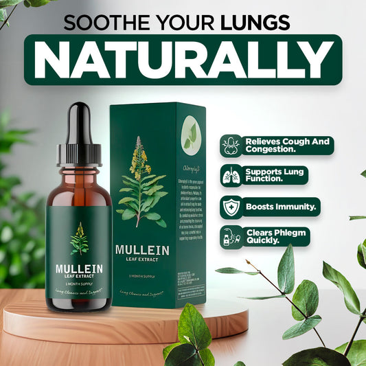 Mullein & Chlorophyll Extract